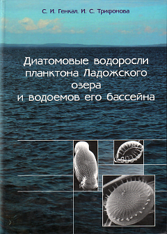 Диатомовые водоросли планктона Ладожского озера и водоемов его бассейна.